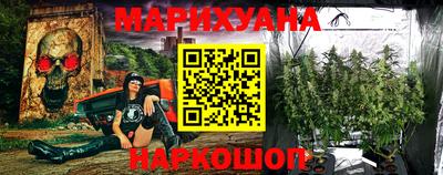 индика Мариинск