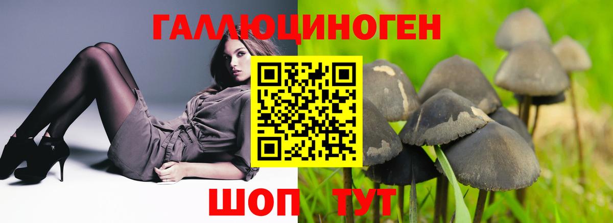 Псилоцибиновые грибы ЛСД  Вход с VPN  Губкин 