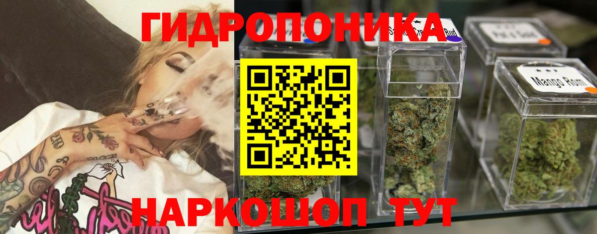 Канабис конопля Губкин